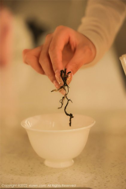 超碰免费国产公开视频在线海报